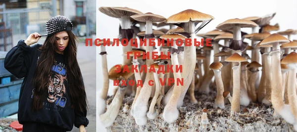 бошки Баксан