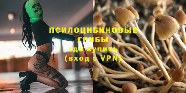 гашишное масло Аркадак