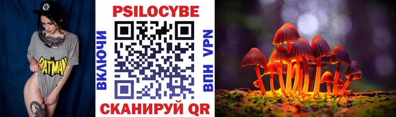 Галлюциногенные грибы Psilocybe  Черняховск 