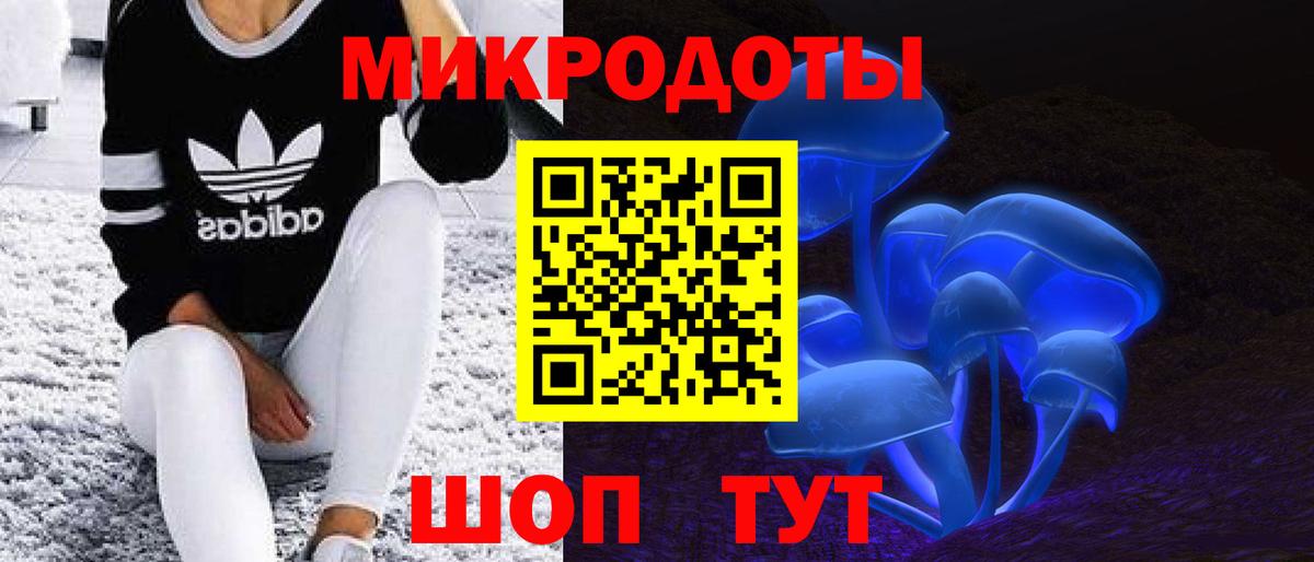 Черняховск  Галлюциногенные грибы прущие грибы  Вход с VPN 